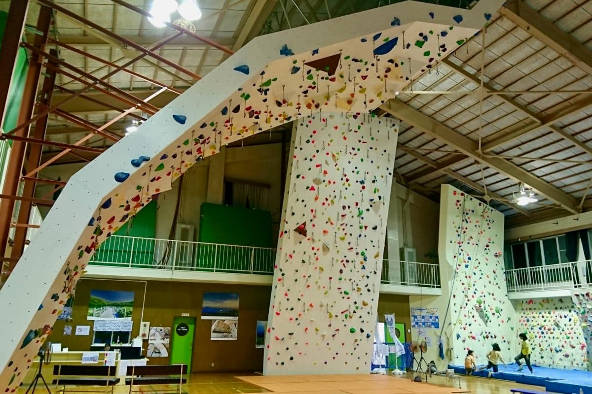 Island With Wild Landscape Formed By Volcanic Eruptions, Miyakejima island, tokyo islands, izu islands, tokyo, japan, boldering