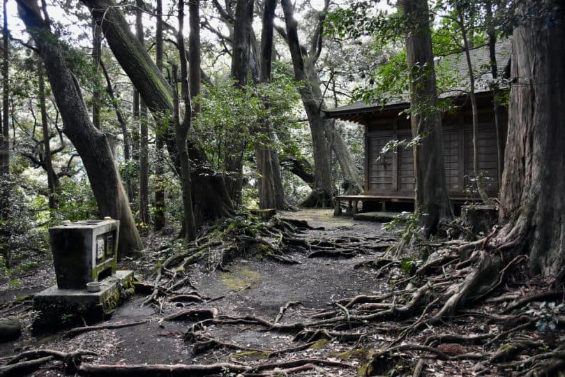 Oshima Island's Perfect Guide: Must-see spots, Activities, Accommodation and Access, izu islands, Tokyo Islands, Tokyo, Japan, tokyo travel, Japan travel, volcanic island, hajikama shrine, hiimi sama