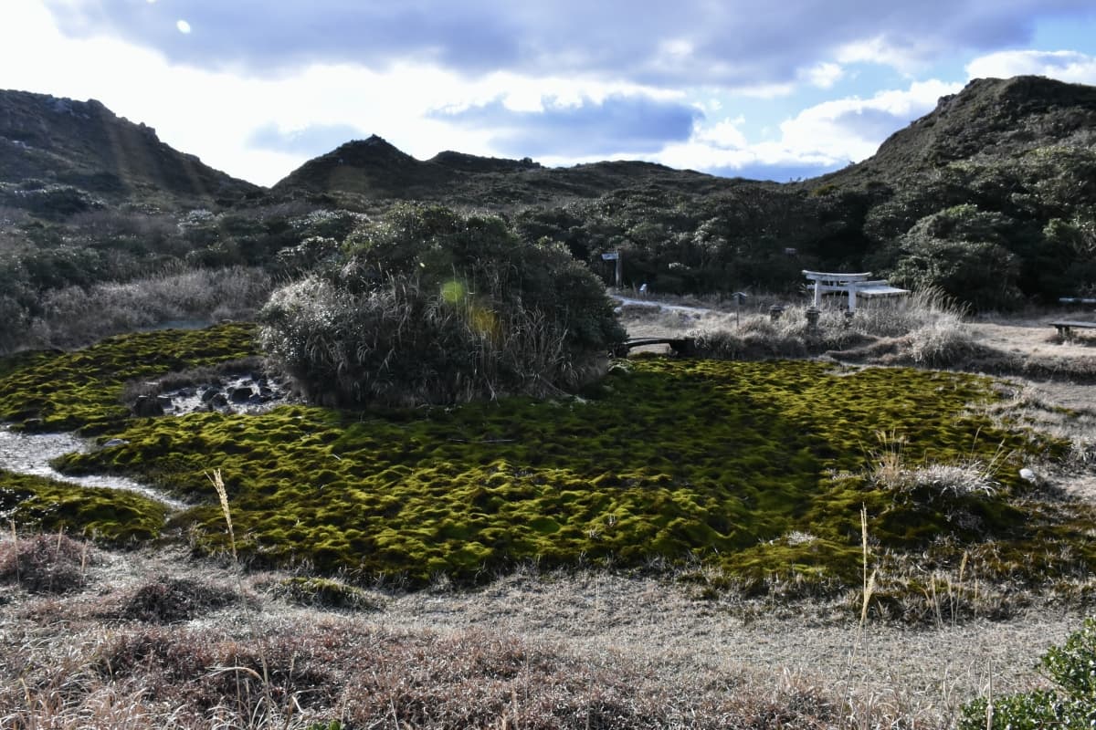 Travel to Kozushima island during Off-season (Spring, Autumn and Winter), Tokyo Islands, Izu Islands, tokyo travel, Japan travel, tokyo, Japan, island trip, Mt. tenjo, hiking, Fudoike pond